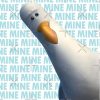 flat750x075f pad750x1000f8f8f8.u2 3 - Finding Nemo Store